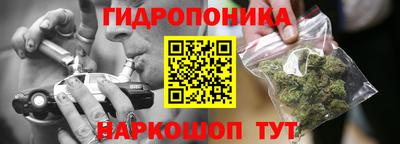 амф Можга