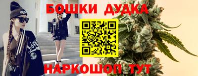 амф Можга