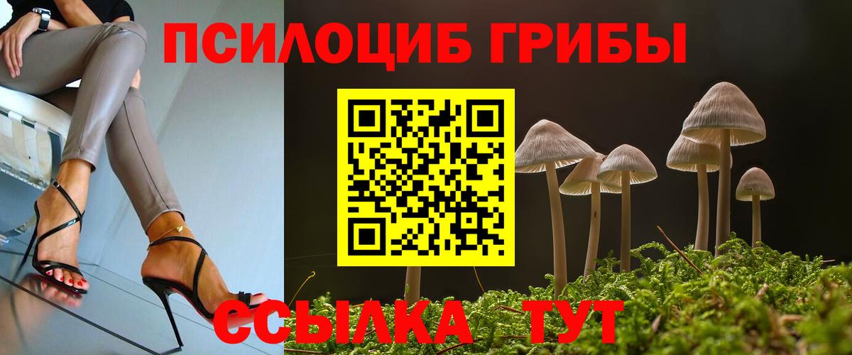 Галлюциногенные грибы Cubensis  Вход с VPN  Фролово 